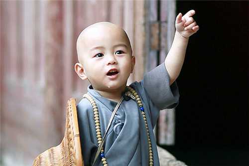 好聽(tīng)的男孩小名屬兔簡(jiǎn)單好聽(tīng)